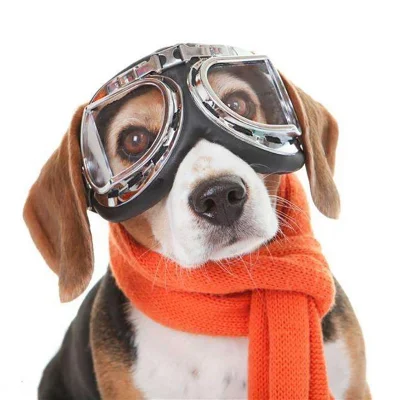 Las más nuevas y hermosas gafas para mascotas, gafas de sol clásicas para perros con montura grande, gafas Harley para perros, accesorios para mascotas